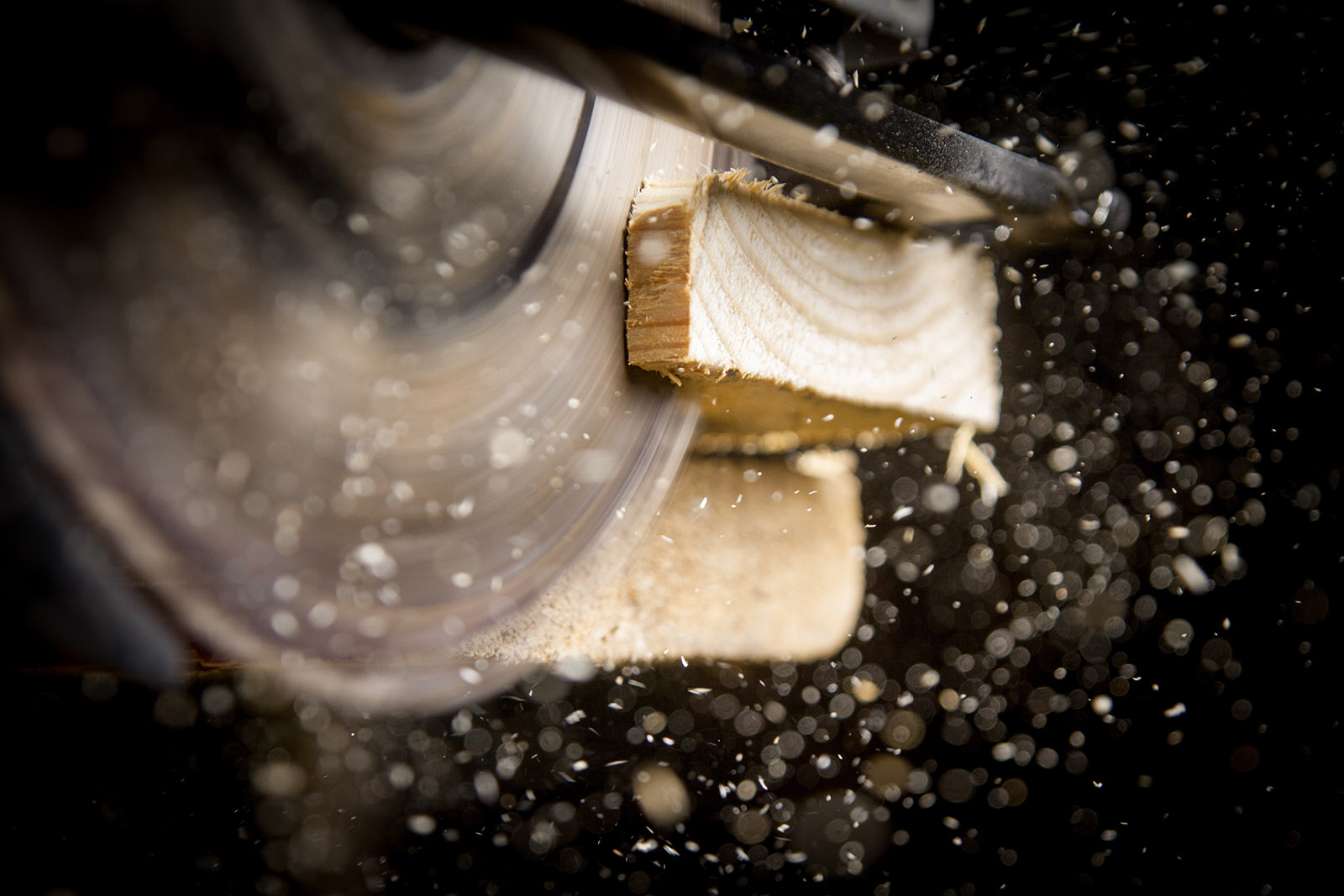 Close-up of carpenter cutting a wooden plank